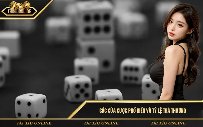 Các cửa cược phổ biến và tỷ lệ trả thưởng