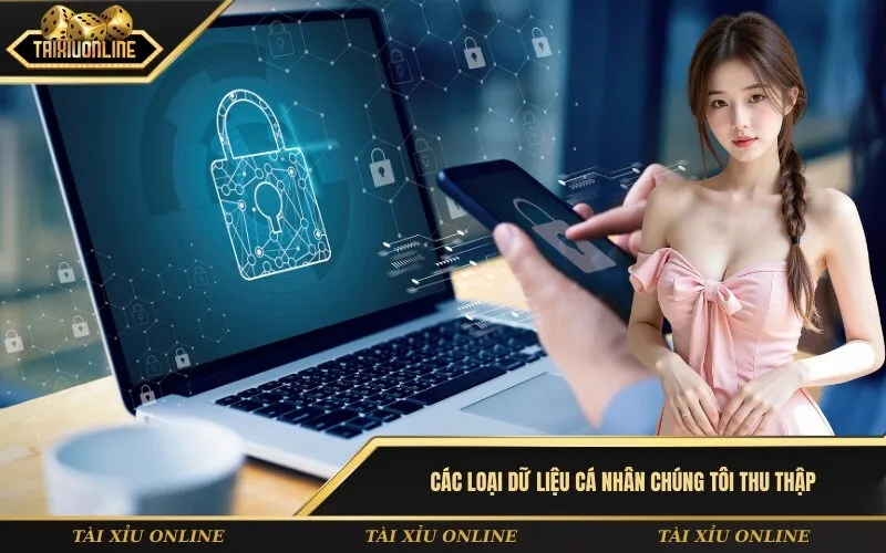 Các loại dữ liệu cá nhân chúng tôi thu thập