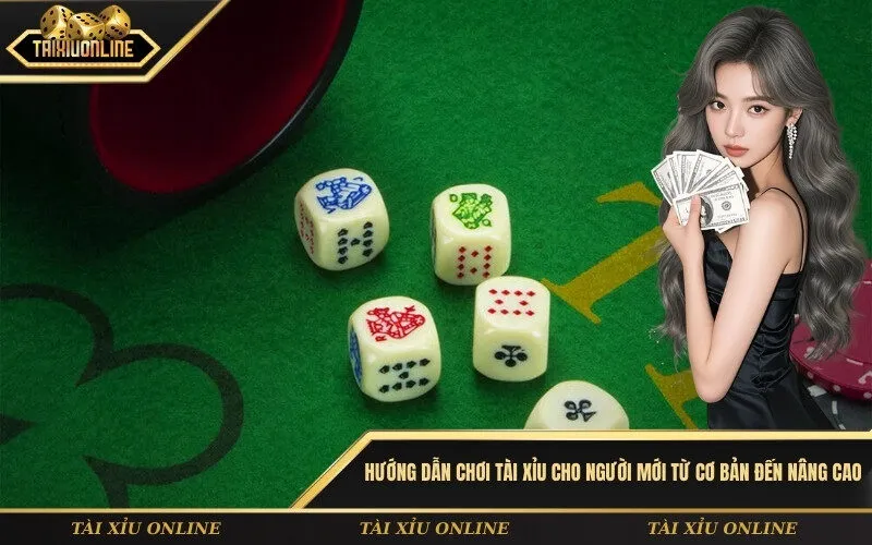 Hướng dẫn chơi tài xỉu cho người mới từ cơ bản đến nâng cao